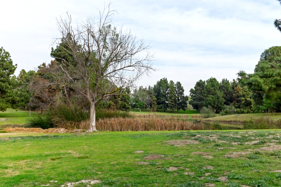 El Dorado Regional Pk Horseshoe Lake
