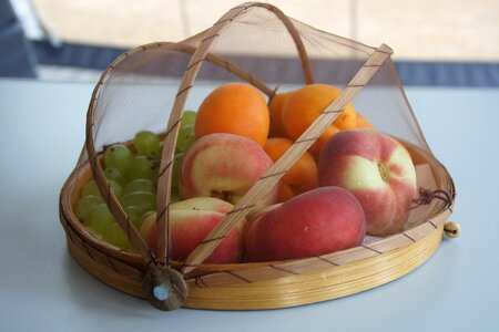 Mediterranean apricots fruit bowl photo