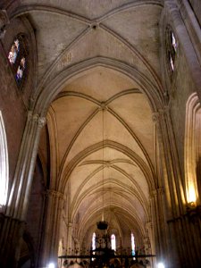 El Burgo de Osma - Catedral 39