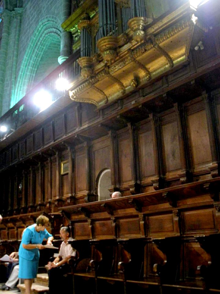 El Burgo de Osma - Catedral 38