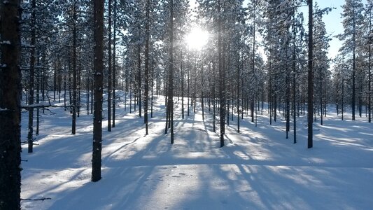 Finland rest winter photo