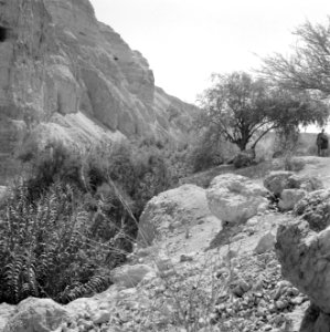 Ein Gidi Rotslandschap met hier en daar begroeiing, Bestanddeelnr 255-2749