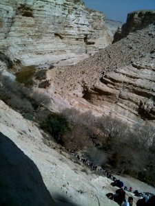 Ein Avdat IMG 1260