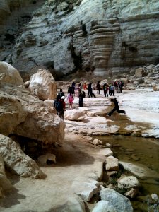 Ein Avdat IMG 1234