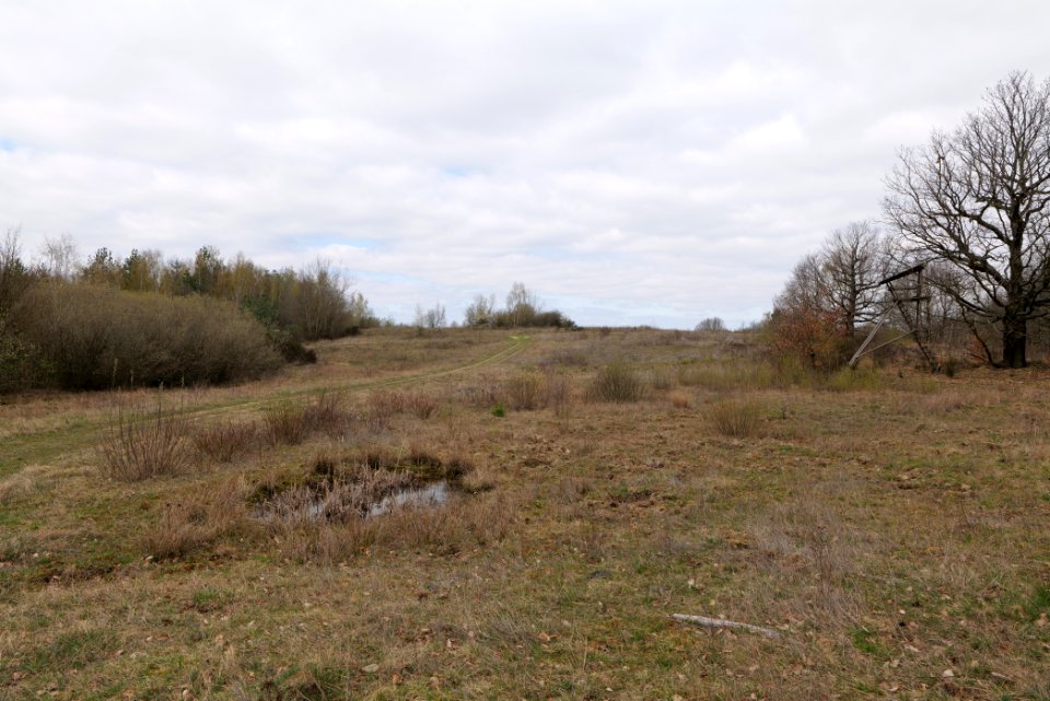 Eichkopf bei Ober-Mörlen 2021-04-02 73