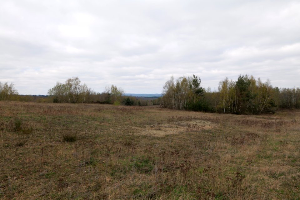 Eichkopf bei Ober-Mörlen 2021-04-02 25