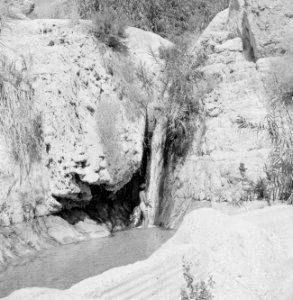 Ein Gedi Rotswand met de Sudarbron met een badgast, Bestanddeelnr 255-2746