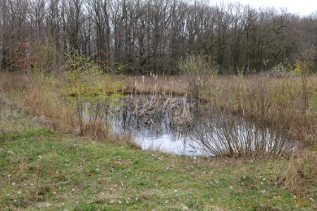 Eichkopf bei Ober-Mörlen 2021-04-02 33