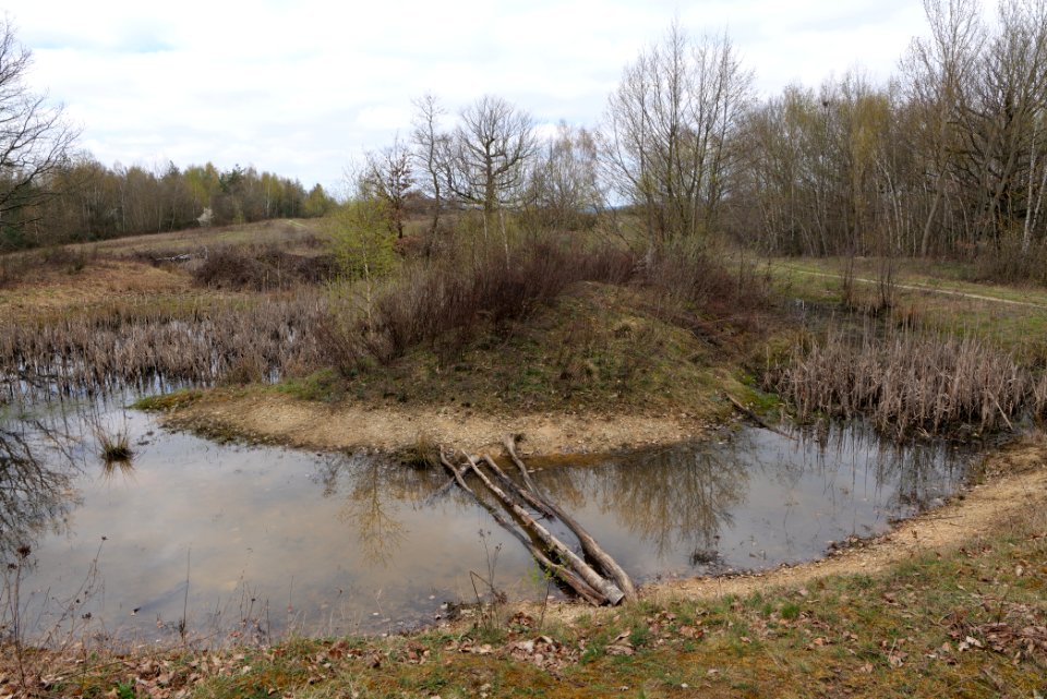 Eichkopf bei Ober-Mörlen 2021-04-02 66