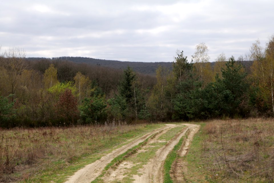 Eichkopf bei Ober-Mörlen 2021-04-02 84