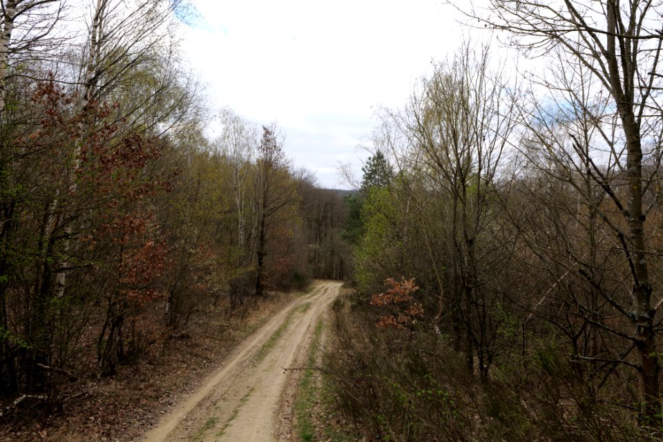 Eichkopf bei Ober-Mörlen 2021-04-02 88
