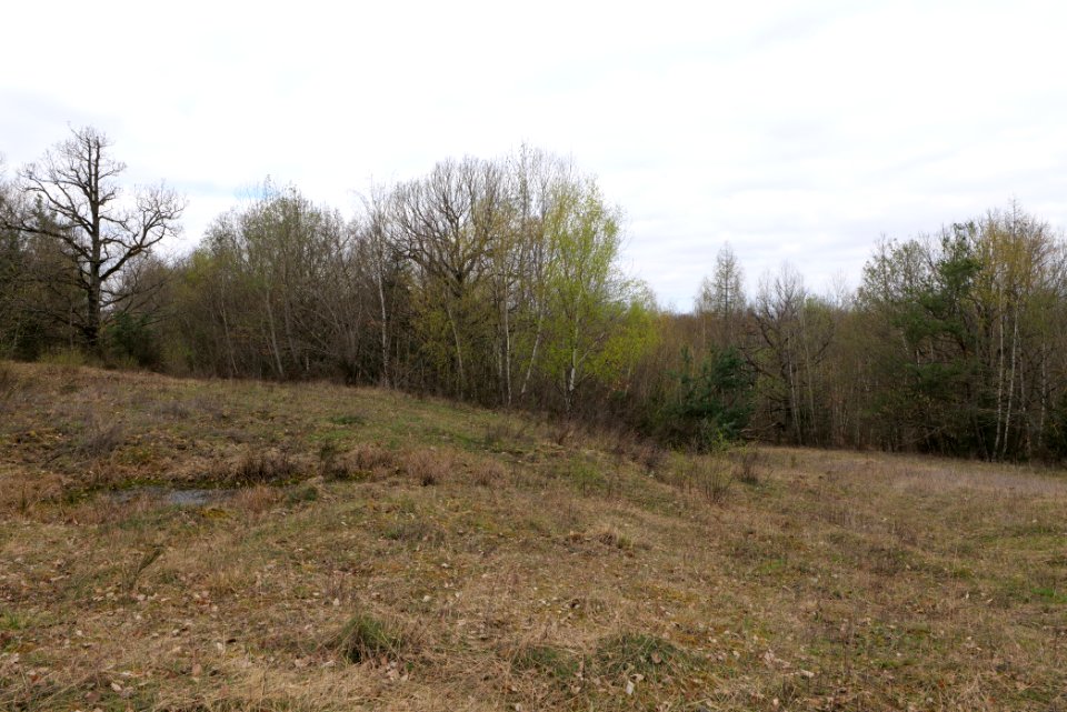 Eichkopf bei Ober-Mörlen 2021-04-02 62