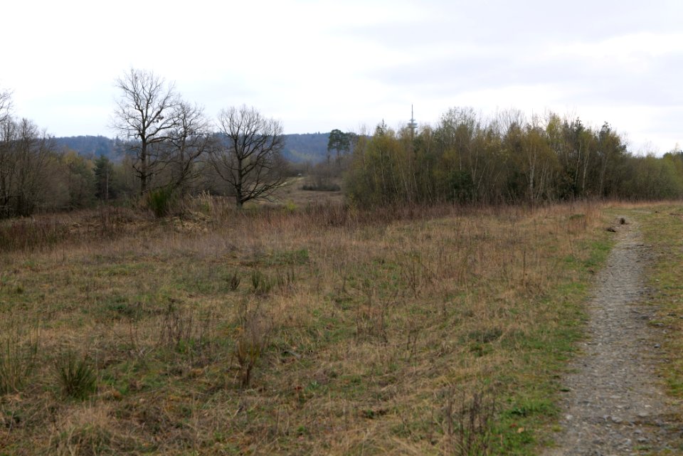 Eichkopf bei Ober-Mörlen 2021-04-02 47