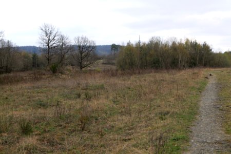 Eichkopf bei Ober-Mörlen 2021-04-02 47