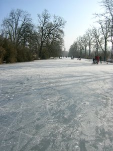 Eichstätt - Vereiste Altmühl 2017-01-29 -Zwischen Wehr und Badsteg (5)