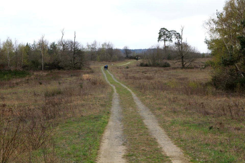 Eichkopf bei Ober-Mörlen 2021-04-02 30