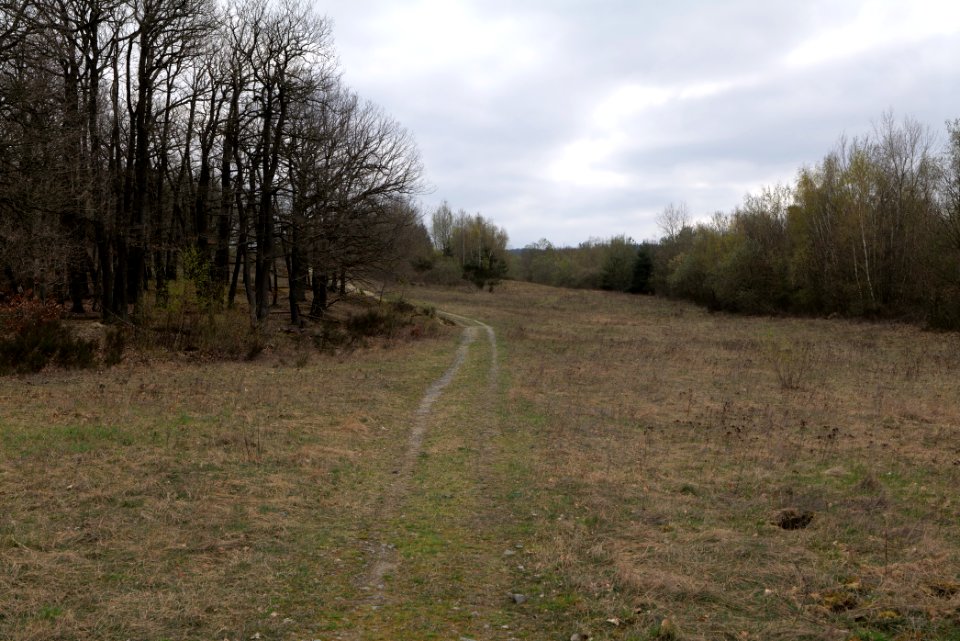 Eichkopf bei Ober-Mörlen 2021-04-02 75