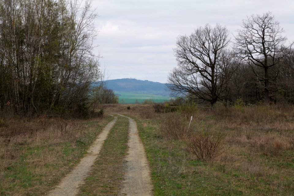 Eichkopf bei Ober-Mörlen 2021-04-02 28