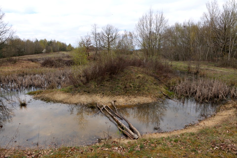 Eichkopf bei Ober-Mörlen 2021-04-02 67