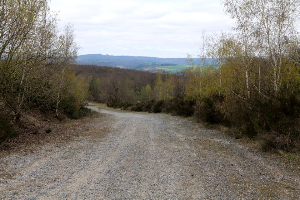 Eichkopf bei Ober-Mörlen 2021-04-02 55