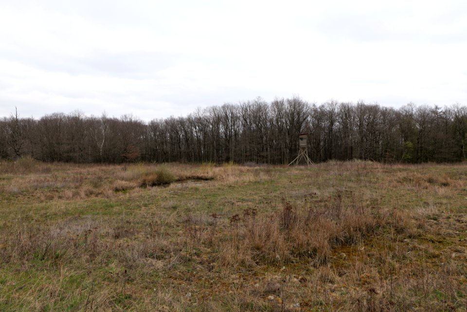 Eichkopf bei Ober-Mörlen 2021-04-02 29