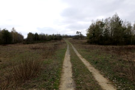 Eichkopf bei Ober-Mörlen 2021-04-02 32