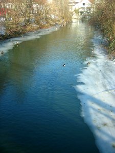 Eichstätt - Vereiste Altmühl 2017-01-29 -Altwasserarm Freibad und Vogelinsel (3)
