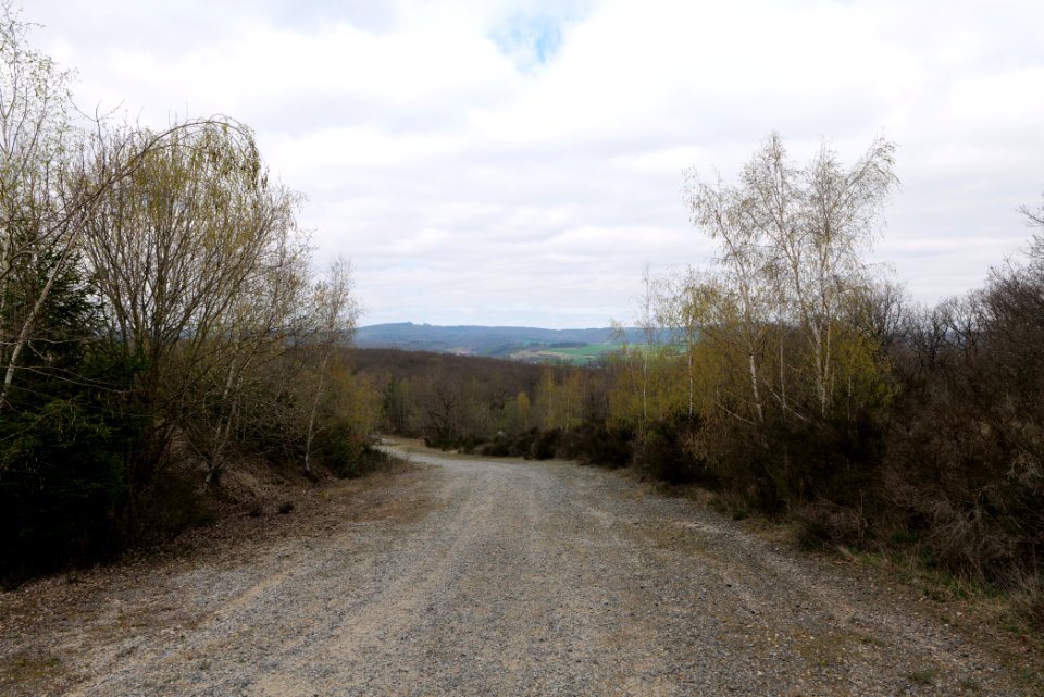 Eichkopf bei Ober-Mörlen 2021-04-02 52