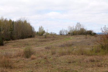 Eichkopf bei Ober-Mörlen 2021-04-02 72