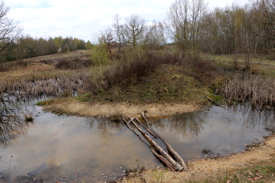 Eichkopf bei Ober-Mörlen 2021-04-02 65