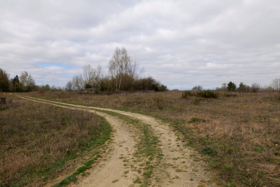 Eichkopf bei Ober-Mörlen 2021-04-02 76