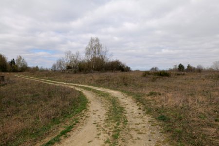 Eichkopf bei Ober-Mörlen 2021-04-02 76