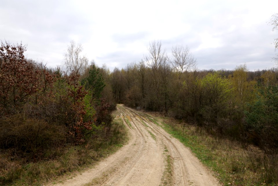 Eichkopf bei Ober-Mörlen 2021-04-02 85