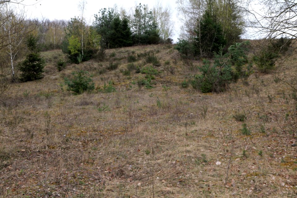 Eichkopf bei Ober-Mörlen 2021-04-02 60