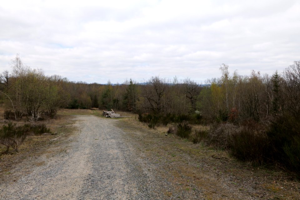 Eichkopf bei Ober-Mörlen 2021-04-02 56