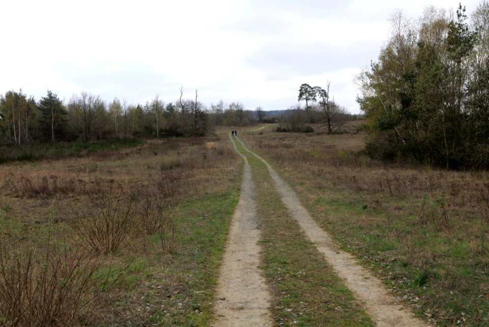 Eichkopf bei Ober-Mörlen 2021-04-02 31