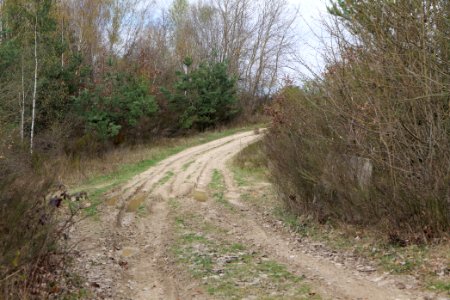 Eichkopf bei Ober-Mörlen 2021-04-02 87