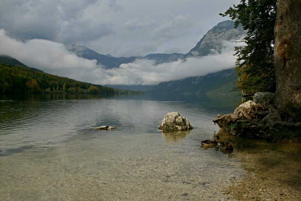 Slovenia lake bohinj