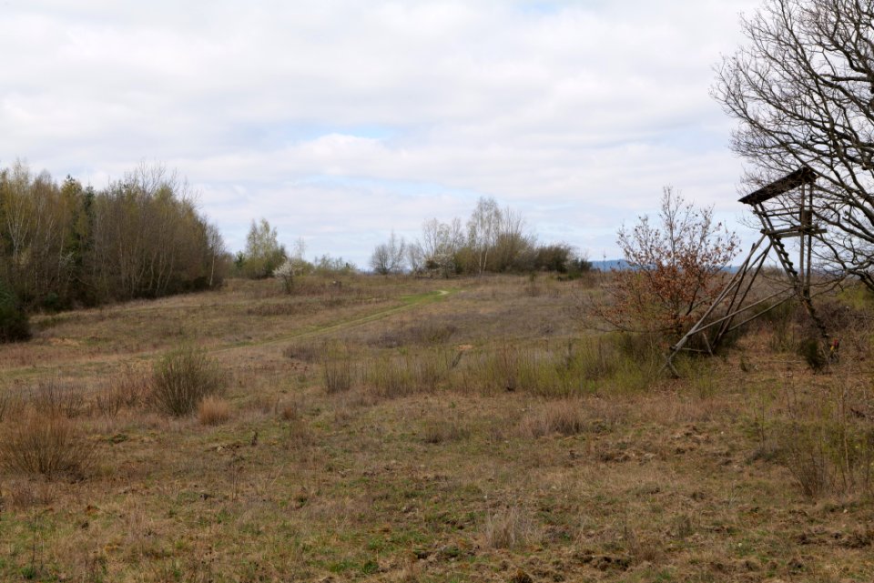 Eichkopf bei Ober-Mörlen 2021-04-02 71