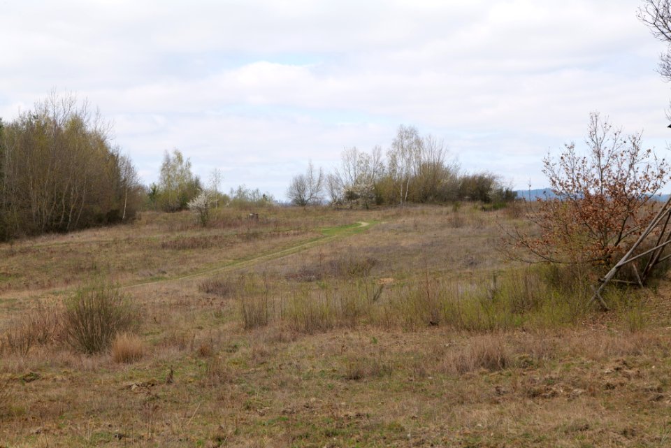 Eichkopf bei Ober-Mörlen 2021-04-02 68