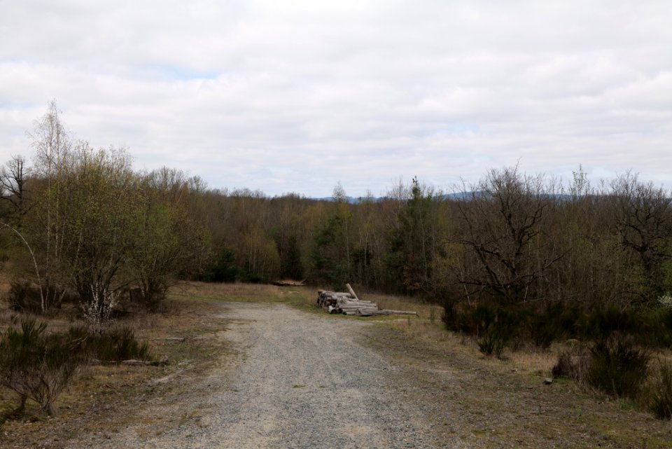 Eichkopf bei Ober-Mörlen 2021-04-02 57