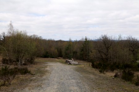 Eichkopf bei Ober-Mörlen 2021-04-02 57