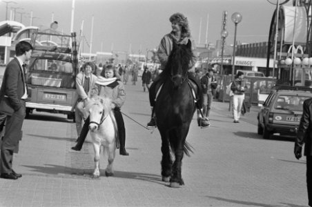Eindelijk de lentezon groot en klein paard op boulevard, Bestanddeelnr 933-9395