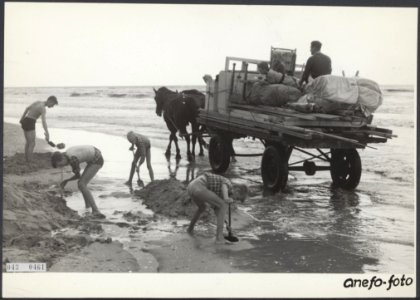 Einde strandseizoen, uitruimen badhuisjes, Bestanddeelnr 043-0461