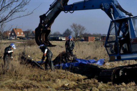 Eerste fase zogenaamde uitlepelplan in Vogelmeer polder speciale bulldozer pak, Bestanddeelnr 253-8490