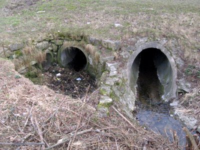 Einlauf in den Rückhaltespeicher am Schießbach bei Obersontheim