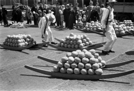 Eerste kaasmarkt te Alkmaar, Bestanddeelnr 901-8102