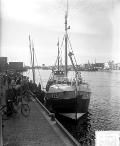 Eerste haringaanvoer IJmuiden (Katwijk 29), Bestanddeelnr 905-7493
