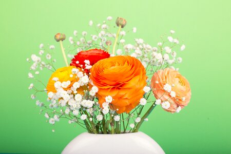 Flower vase orange spring photo