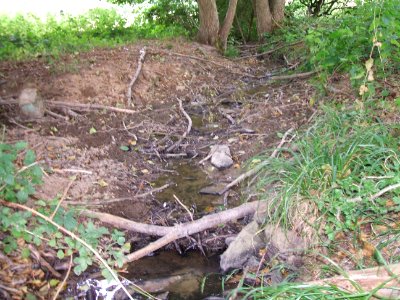 Einmündung in trockenen Fauerbach links 2